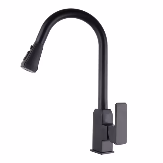 New Design Kitchen Faucet Bibcock with Pull Down Sprayer Odn-39
