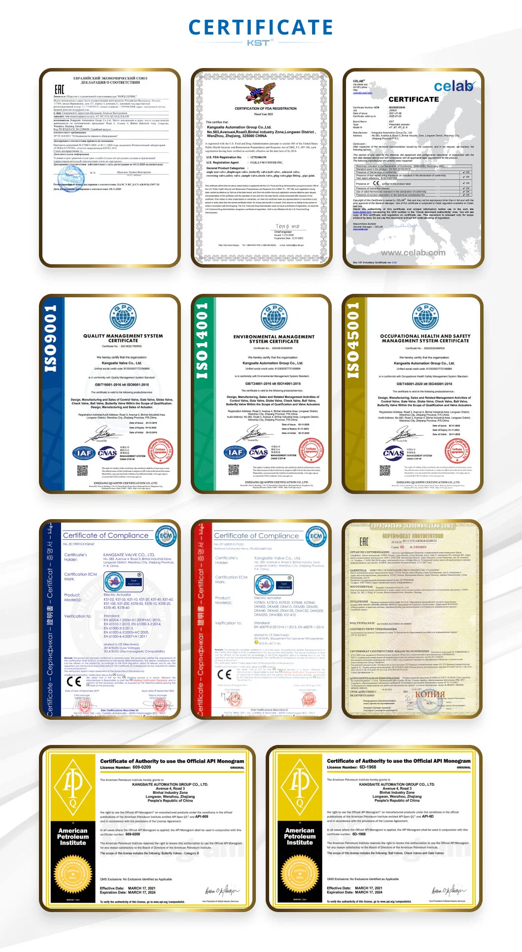 Side Entry Kst/OEM CE, ISO9001, FDA, API, Dnv Float Pneumatic Ball Valve