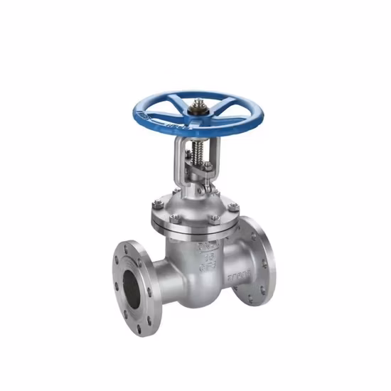 OEM/ODM forgé plein port NPT 600wog 1/2